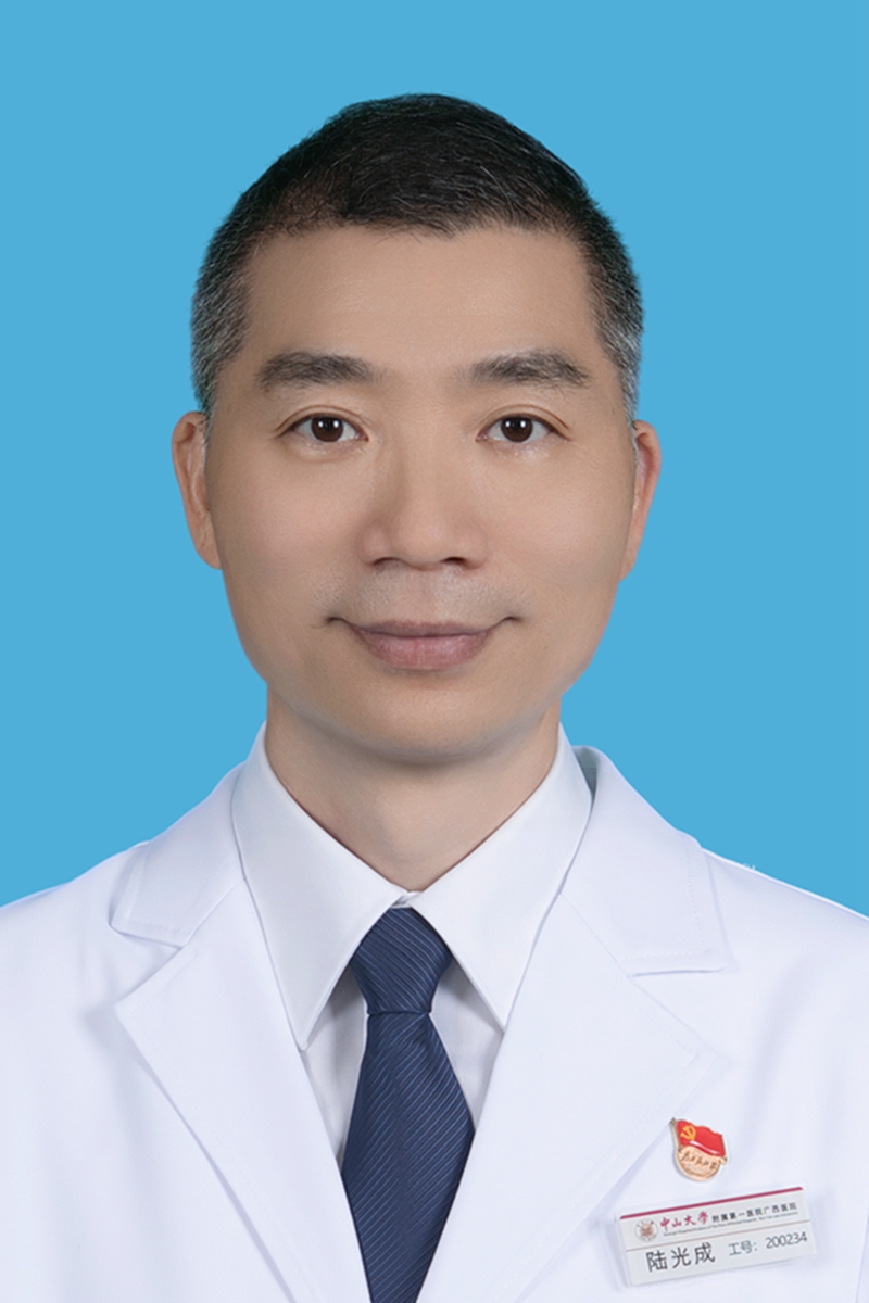 陆光成