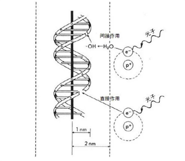3.jpg 3.jpg
