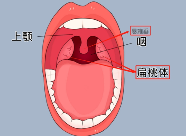 微信图片_20250731081711.jpg 微信图片_20250731081711.jpg