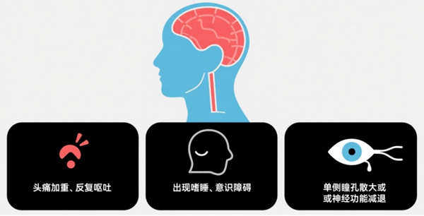 微信图片_2025-09-05_081304_871.jpg 微信图片_2025-09-05_081304_871.jpg