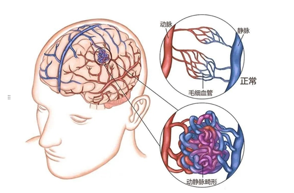 微信图片_2025-09-10_081209_954.jpg 微信图片_2025-09-10_081209_954.jpg